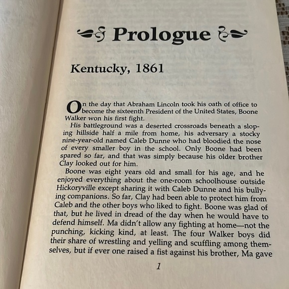 Looking Glass Years, Jill Gregory - Picture 5 of 5